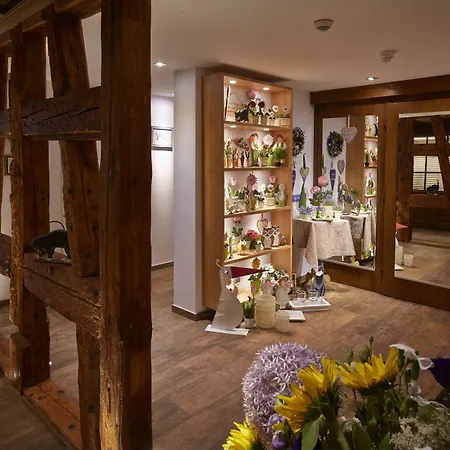 Zum Ochsen 4* Schönwalde