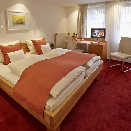 Hotel Zum Ochsen 4*