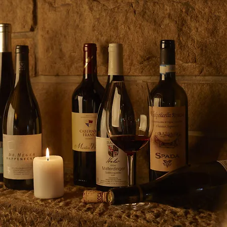 Zum Ochsen ホテル 4*