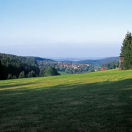 Zum Ochsen ホテル 4*