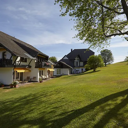 Hotel Zum Ochsen 4*