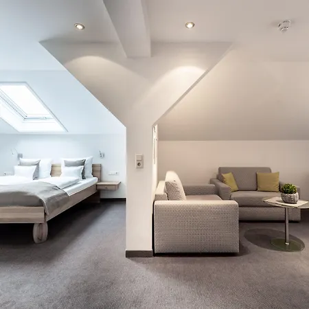 Hotel Zum Ochsen 4*